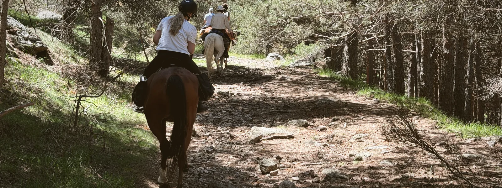 Jinetes ascendiendo por un camino de la sierra entre pinos