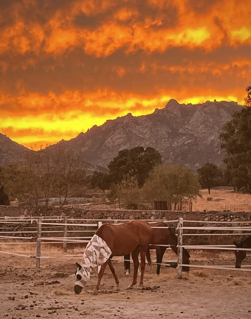 Amanecer encendido sobre los cercados y la sierra
