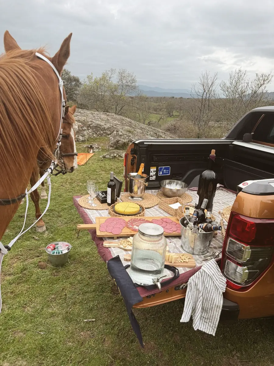 Picnic de campo servido en ruta, con el caballo al lado